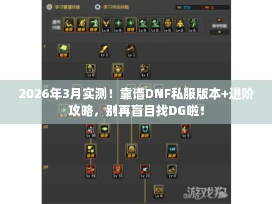 2026年3月实测！靠谱DNF私服版本+进阶攻略，别再盲目找DG啦！