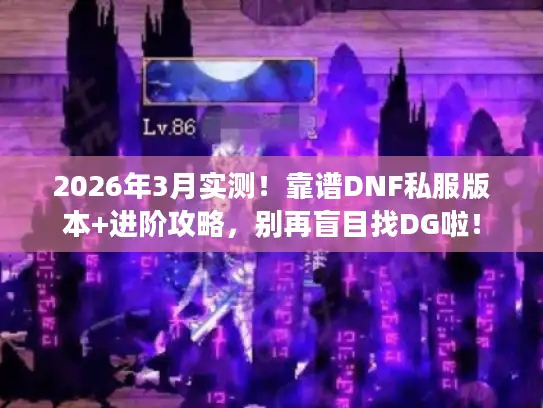 2026年3月实测！靠谱DNF私服版本+进阶攻略，别再盲目找DG啦！