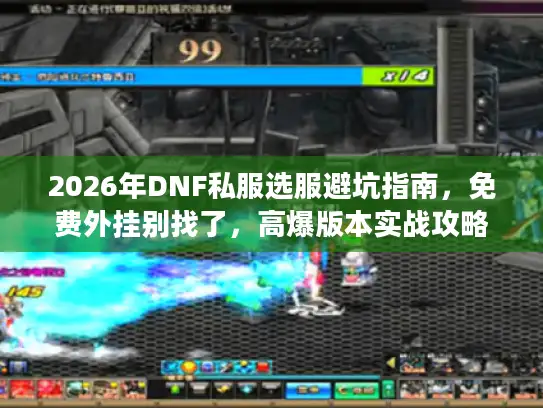 2026年DNF私服选服避坑指南，免费外挂别找了，高爆版本实战攻略来了