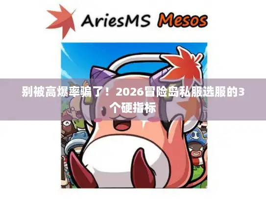 别被高爆率骗了！2026冒险岛私服选服的3个硬指标