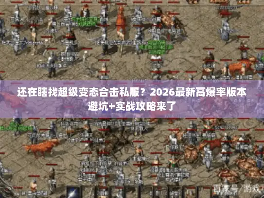 还在瞎找超级变态合击私服？2026最新高爆率版本避坑+实战攻略来了