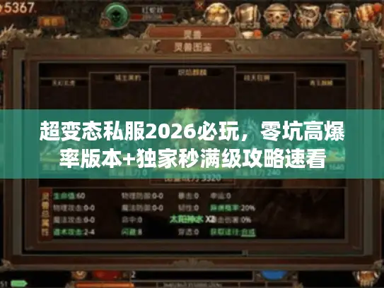 超变态私服2026必玩,零坑高爆率版本+独家秒满级攻略速看 超变态私服2026必玩,零坑高爆率版本+独家秒满级攻略速看