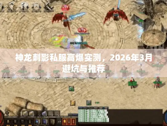 神龙刺影私服高爆实测，2026年3月避坑与推荐