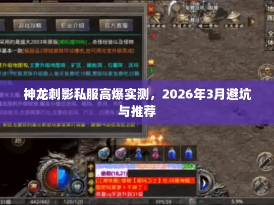 神龙刺影私服高爆实测，2026年3月避坑与推荐