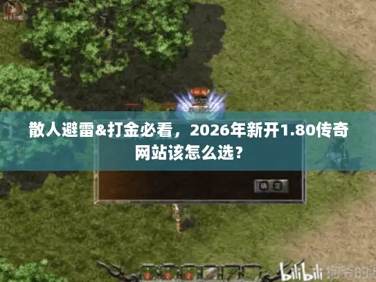 散人避雷&打金必看，2026年新开1.80传奇网站该怎么选？