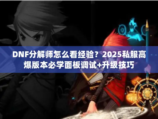 DNF分解师怎么看经验？2025私服高爆版本必学面板调试+升级技巧