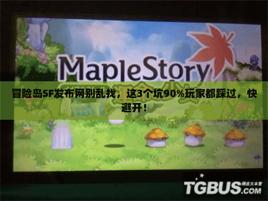 冒险岛SF发布网别乱找，这3个坑90%玩家都踩过，快避开！