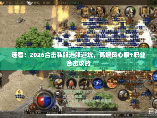 速看！2026合击私服选服避坑，高爆良心服+职业合击攻略