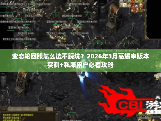 变态轮回服怎么选不踩坑？2026年3月高爆率版本实测+私服用户必看攻略