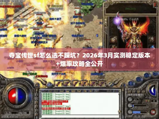 夺宝传世sf怎么选不踩坑？2026年3月实测稳定版本+爆率攻略全公开