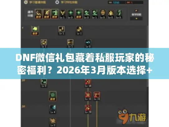 DNF微信礼包藏着私服玩家的秘密福利？2026年3月版本选择+攻略实测