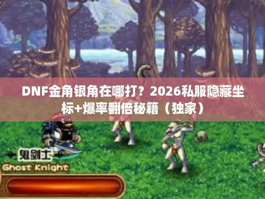 DNF金角银角在哪打？2026私服隐藏坐标+爆率翻倍秘籍（独家）