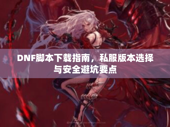 DNF脚本下载指南，私服版本选择与安全避坑要点