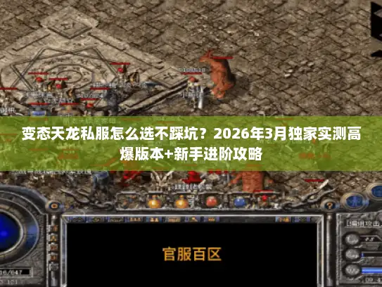 变态天龙私服怎么选不踩坑？2026年3月独家实测高爆版本+新手进阶攻略