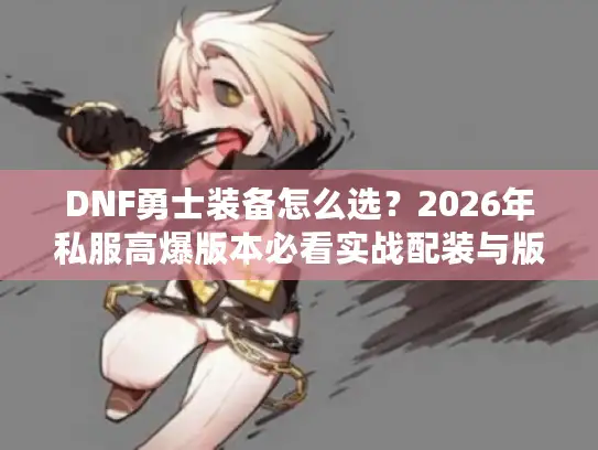 DNF勇士装备怎么选？2026年私服高爆版本必看实战配装与版本差异解析