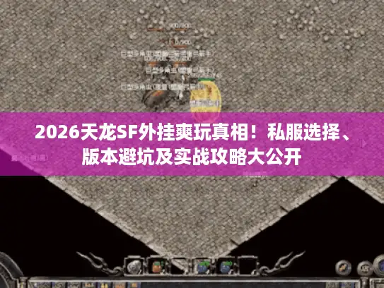 2026天龙SF外挂爽玩真相！私服选择、版本避坑及实战攻略大公开