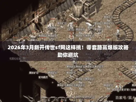 2026年3月新开传世sf网这样挑!零套路高爆版攻略助你避坑 2026年3月新开传世sf网这样挑!零套路高爆版攻略助你避坑