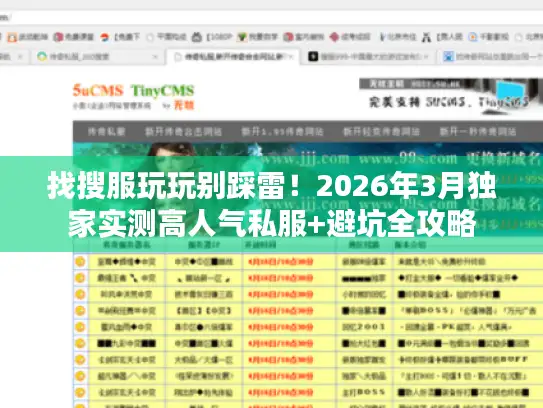 找搜服玩玩别踩雷！2026年3月独家实测高人气私服+避坑全攻略