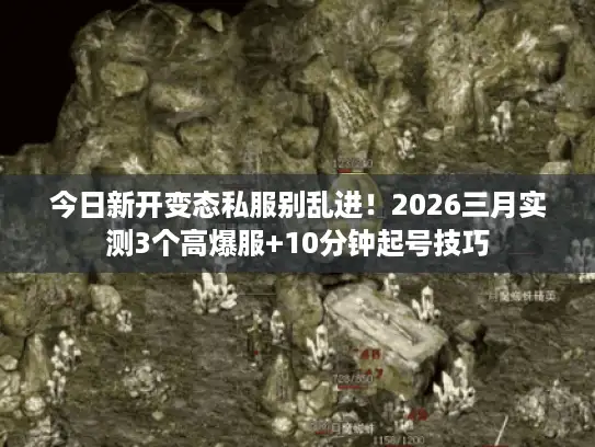 今日新开变态私服别乱进!2026三月实测3个高爆服+10分钟起号技巧 今日新开变态私服别乱进!2026三月实测3个高爆服+10分钟起号技巧