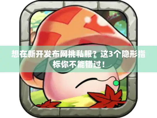 想在新开发布网挑私服?这3个隐形指标你不能错过! 想在新开发布网挑私服?这3个隐形指标你不能错过!