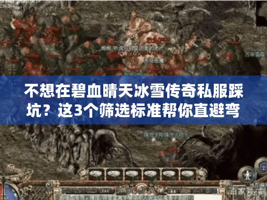 不想在碧血晴天冰雪传奇私服踩坑？这3个筛选标准帮你直避弯路