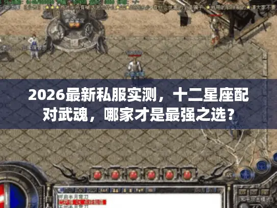 2026最新私服实测，十二星座配对武魂，哪家才是最强之选？