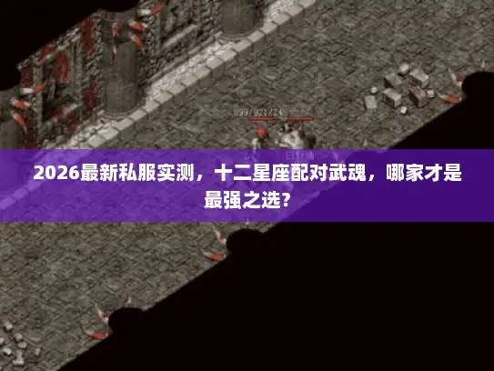 2026最新私服实测，十二星座配对武魂，哪家才是最强之选？