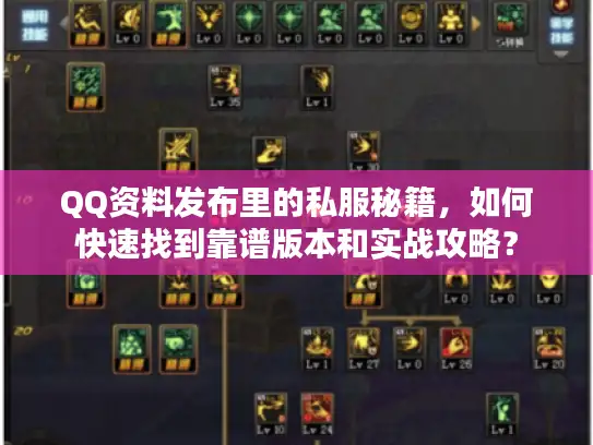 QQ资料发布里的私服秘籍，如何快速找到靠谱版本和实战攻略？