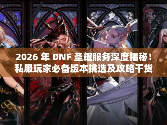 2026 年 DNF 圣耀服务深度揭秘！私服玩家必备版本挑选及攻略干货