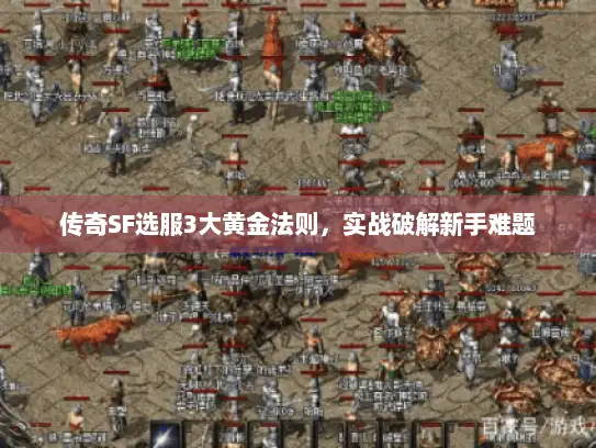 传奇SF选服3大黄金法则，实战破解新手难题