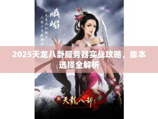 2025天龙八卦服务器实战攻略，版本选择全解析