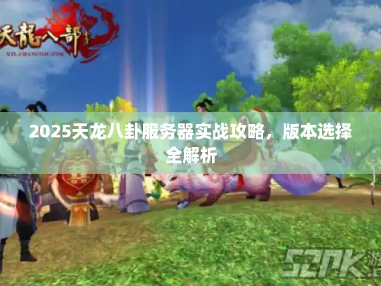 2025天龙八卦服务器实战攻略，版本选择全解析