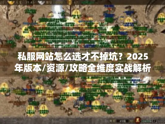 私服网站怎么选才不掉坑？2025年版本/资源/攻略全维度实战解析
