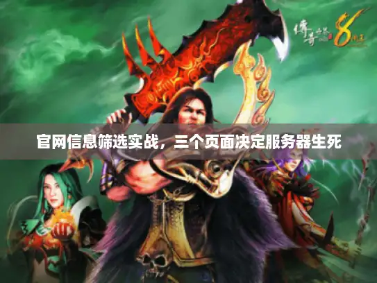 官网信息筛选实战，三个页面决定服务器生死
