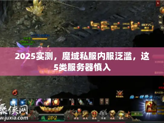 2025实测，魔域私服内服泛滥，这5类服务器慎入
