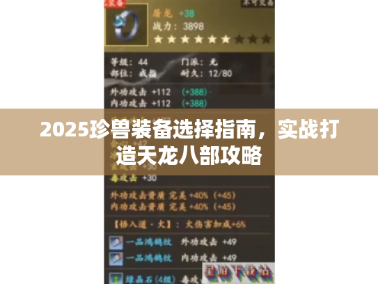 2025珍兽装备选择指南，实战打造天龙八部攻略