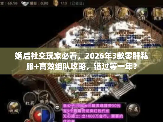 婚后社交玩家必看,2026年3款零肝私服+高效组队攻略,错过等一年? 婚后社交玩家必看,2026年3款零肝私服+高效组队攻略,错过等一年?