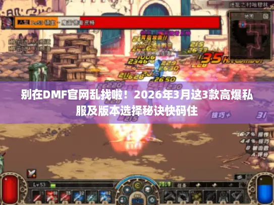 别在DMF官网乱找啦！2026年3月这3款高爆私服及版本选择秘诀快码住