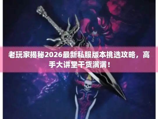 老玩家揭秘2026最新私服版本挑选攻略，高手大讲堂干货满满！