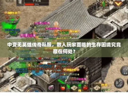 中变无英雄传奇私服，散人玩家面临的生存困境究竟藏在何处？
