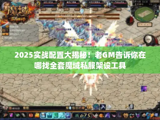 2025实战配置大揭秘！老GM告诉你在哪找全套魔域私服架设工具