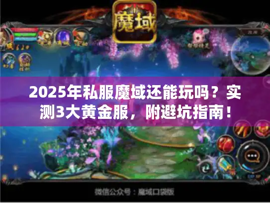 2025年私服魔域还能玩吗？实测3大黄金服，附避坑指南！