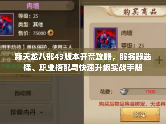 新天龙八部43版本开荒攻略,服务器选择、职业搭配与快速升级实战手册 新天龙八部43版本开荒攻略,服务器选择、职业搭配与快速升级实战手册