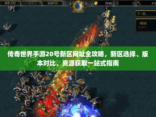 传奇世界手游20号新区网址全攻略，新区选择、版本对比、资源获取一站式指南