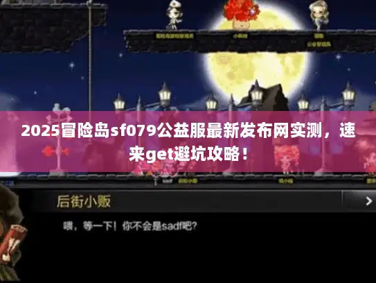 2025冒险岛sf079公益服最新发布网实测，速来get避坑攻略！