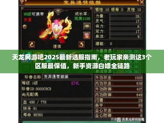 天龙网游吧2025最新选服指南，老玩家亲测这3个区服最保值，新手资源白嫖全链路