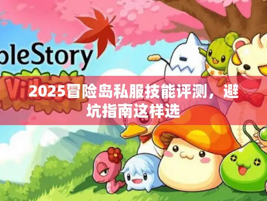 2025冒险岛私服技能评测，避坑指南这样选