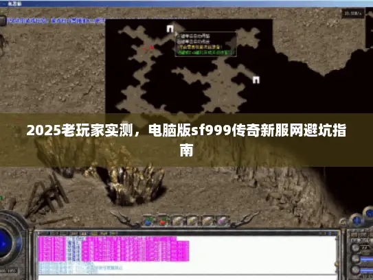 2025老玩家实测，电脑版sf999传奇新服网避坑指南