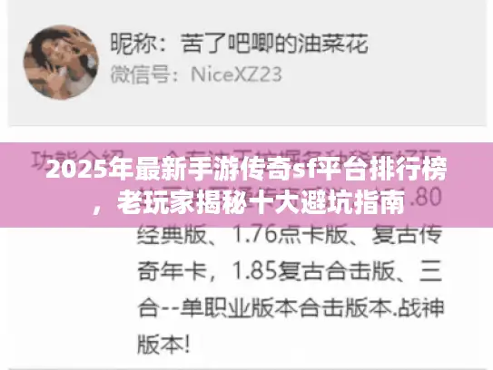 2025年最新手游传奇sf平台排行榜，老玩家揭秘十大避坑指南