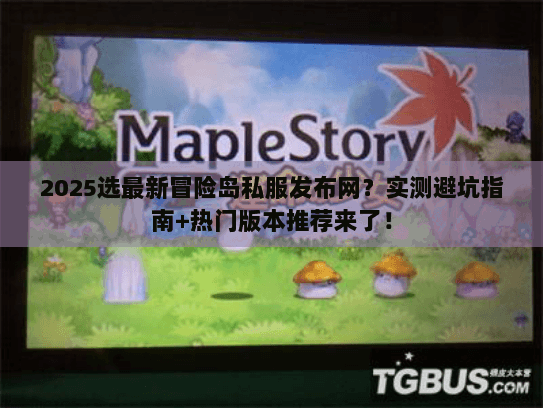 2025选最新冒险岛私服发布网？实测避坑指南+热门版本推荐来了！